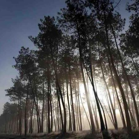Вілла Chez Floflo Rion-Des-Landes Екстер'єр фото