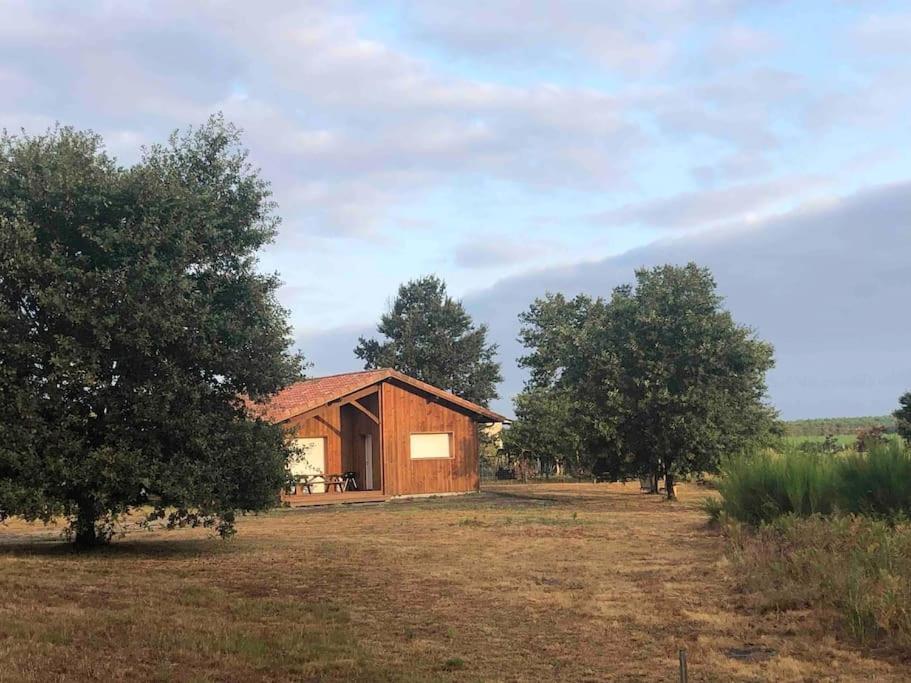 Вілла Chez Floflo Rion-Des-Landes Екстер'єр фото