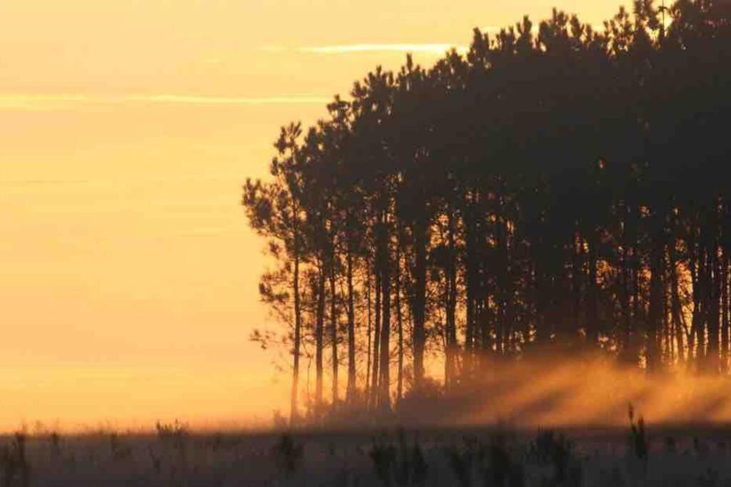 Вілла Chez Floflo Rion-Des-Landes Екстер'єр фото