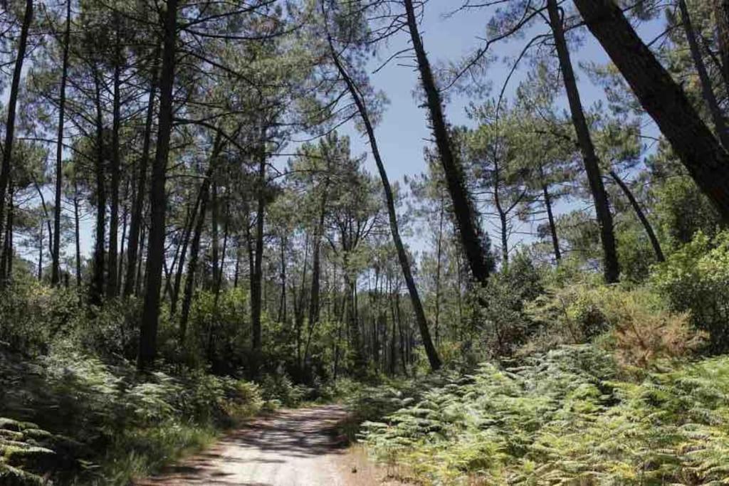 Вілла Chez Floflo Rion-Des-Landes Екстер'єр фото