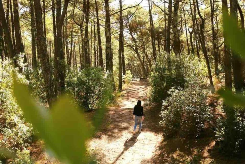 Вілла Chez Floflo Rion-Des-Landes Екстер'єр фото