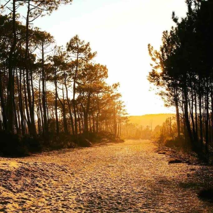 Вілла Chez Floflo Rion-Des-Landes Екстер'єр фото